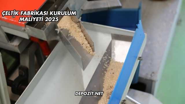 Çeltik Fabrikası Kurulum Maliyeti 2025