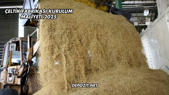 Çeltik Fabrikası Kurulum Maliyeti 2025