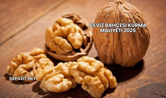 Ceviz Bahçesi Kurma Maliyeti 2025