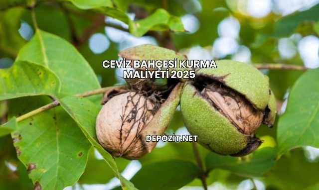 Ceviz Bahçesi Kurma Maliyeti 2025