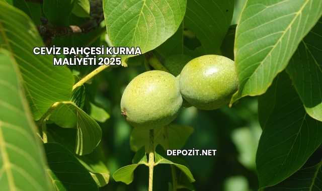 Ceviz Bahçesi Kurma Maliyeti 2025