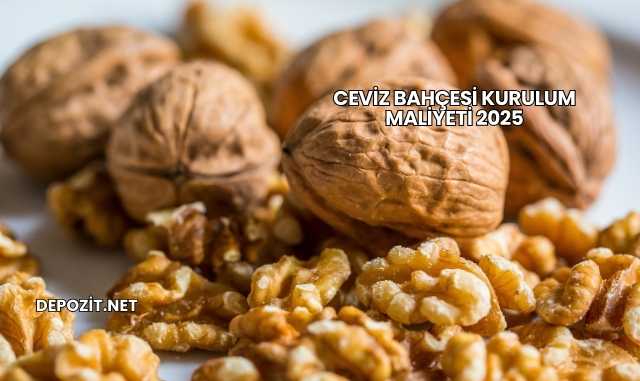 Ceviz Bahçesi Kurulum Maliyeti 2025