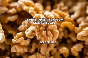 Ceviz Bahçesi Kurulum Maliyeti 2025