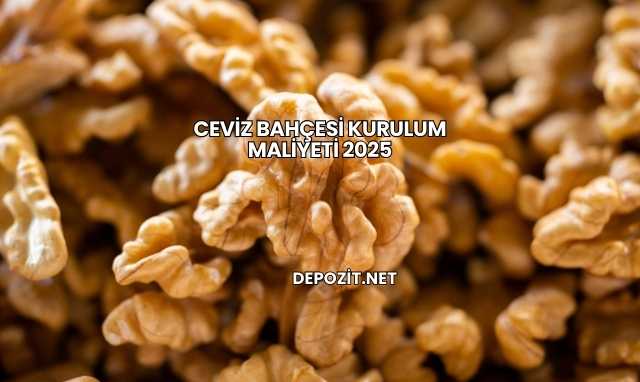Ceviz Bahçesi Kurulum Maliyeti 2025
