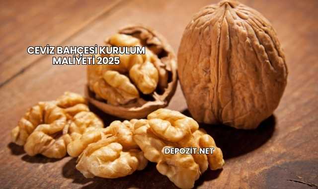 Ceviz Bahçesi Kurulum Maliyeti 2025