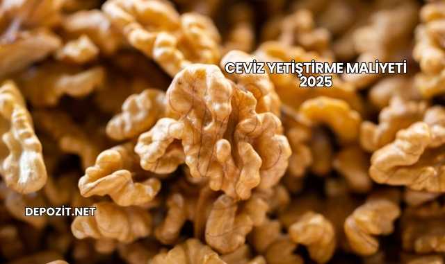Ceviz Yetiştirme Maliyeti 2025