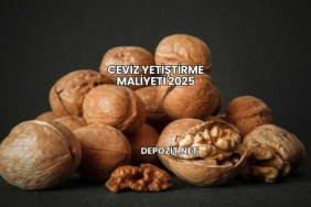 Ceviz Yetiştirme Maliyeti 2025
