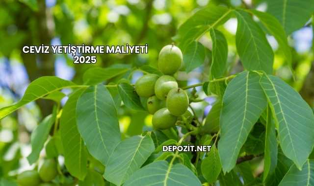 Ceviz Yetiştirme Maliyeti 2025