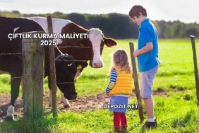 Çiftlik Kurma Maliyeti 2025