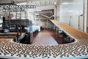Çikolata Fabrikası Kurma Maliyeti 2025