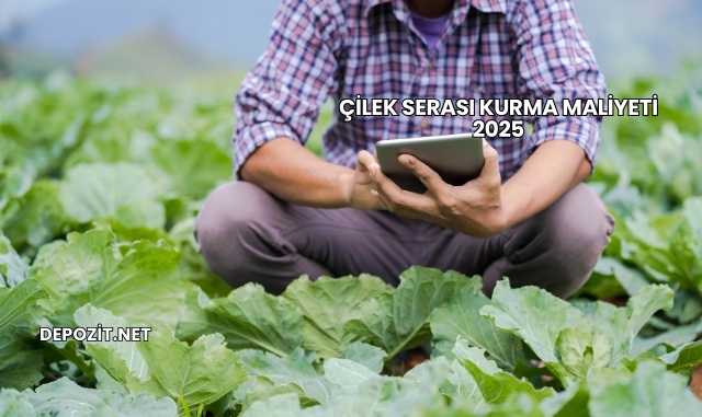Çilek Serası Kurma Maliyeti 2025