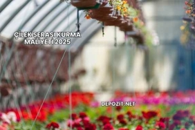 Çilek Serası Kurma Maliyeti 2025