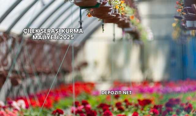 Çilek Serası Kurma Maliyeti 2025