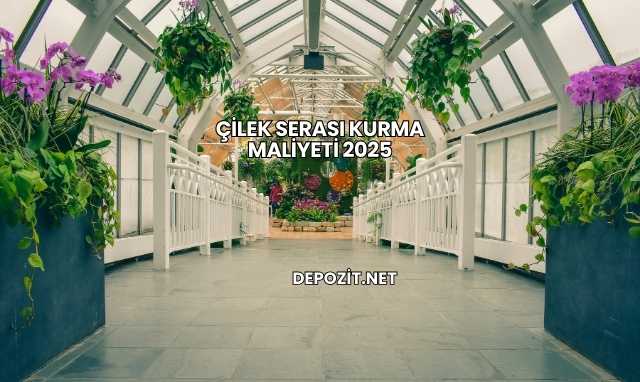 Çilek Serası Kurma Maliyeti 2025