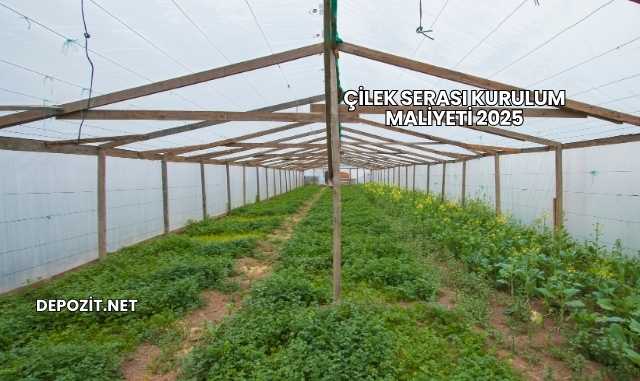 Çilek Serası Kurulum Maliyeti 2025