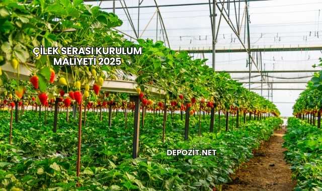 Çilek Serası Kurulum Maliyeti 2025
