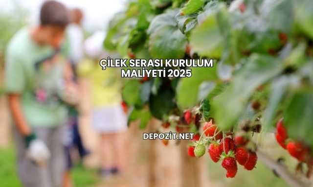 Çilek Serası Kurulum Maliyeti 2025