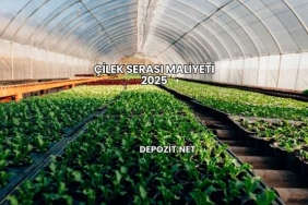 Çilek Serası Maliyeti 2025