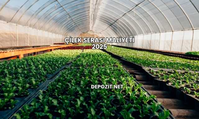 Çilek Serası Maliyeti 2025