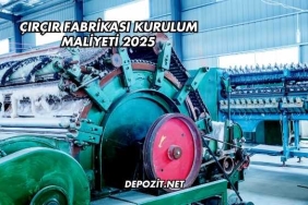 Çırçır Fabrikası Kurulum Maliyeti 2025