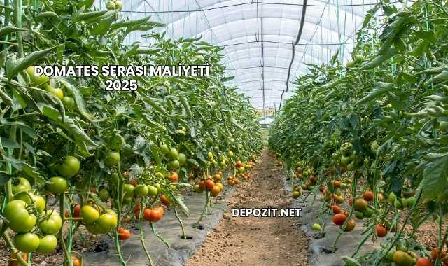 Domates Serası Maliyeti 2025