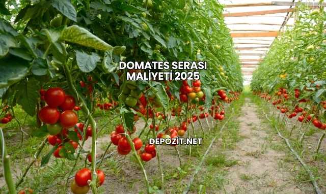 Domates Serası Maliyeti 2025
