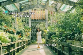 Ejder Meyvesi Sera Maliyeti 2025