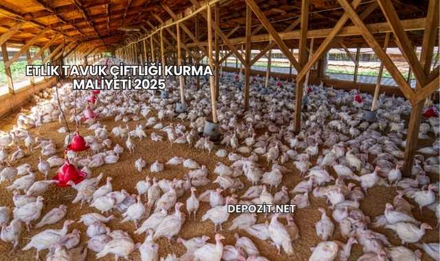 Etlik Tavuk Çiftliği Kurma Maliyeti 2025