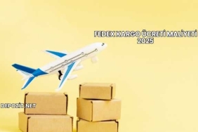 FedEx Kargo Ücreti Maliyeti 2025