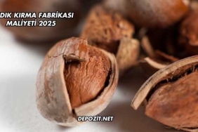 Fındık Kırma Fabrikası Maliyeti 2025