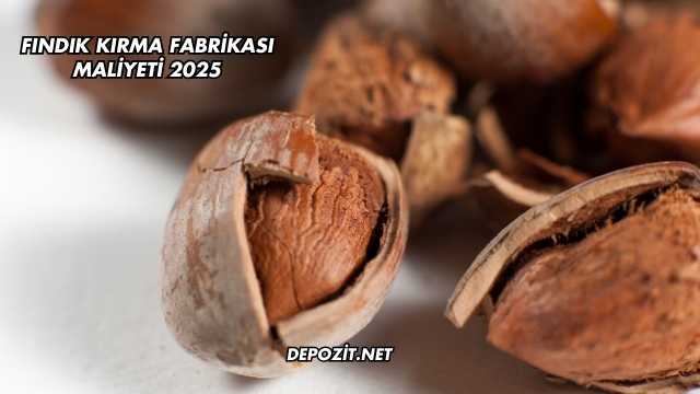 Fındık Kırma Fabrikası Maliyeti 2025
