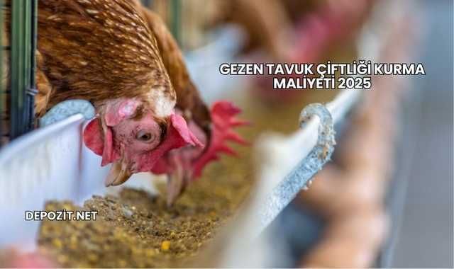 Gezen Tavuk Çiftliği Kurma Maliyeti 2025