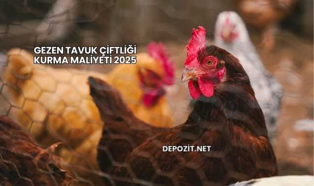 Gezen Tavuk Çiftliği Kurma Maliyeti 2025