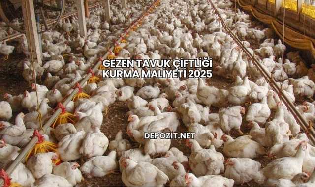 Gezen Tavuk Çiftliği Kurma Maliyeti 2025