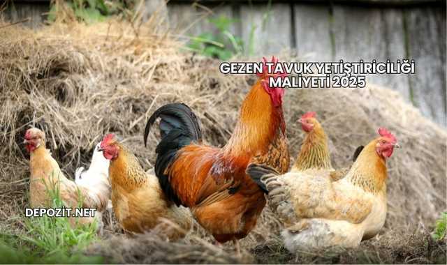 Gezen Tavuk Yetiştiriciliği Maliyeti 2025