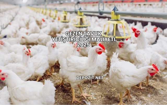 Gezen Tavuk Yetiştiriciliği Maliyeti 2025