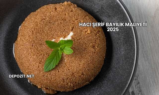 Hacı Şerif Bayilik Maliyeti 2025