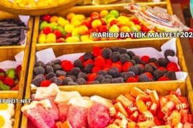 Haribo Bayilik Maliyeti 2025