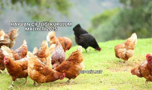 Hayvan Çiftliği Kurulum Maliyeti 2025