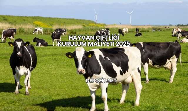 Hayvan Çiftliği Kurulum Maliyeti 2025