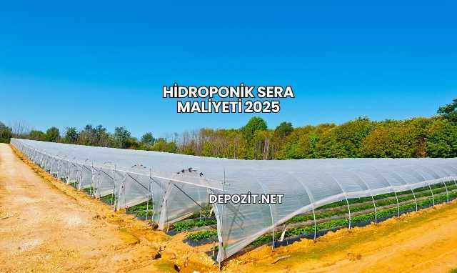 Hidroponik Sera Maliyeti 2025