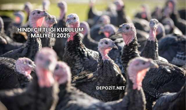 Hindi Çiftliği Kurulum Maliyeti 2025