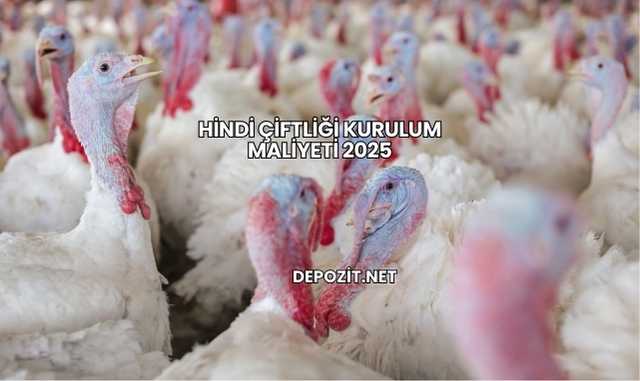 Hindi Çiftliği Kurulum Maliyeti 2025