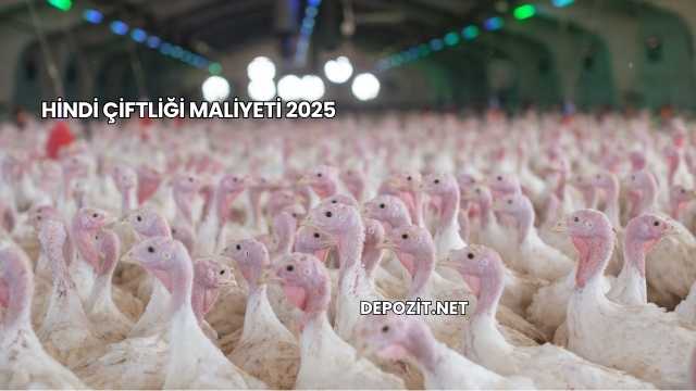 Hindi Çiftliği Maliyeti 2025