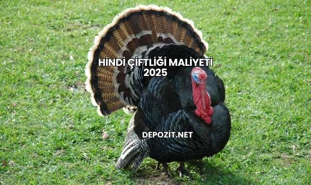 Hindi Çiftliği Maliyeti 2025