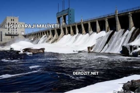 Ilısu Barajı Maliyeti