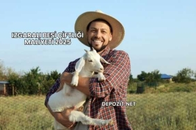 Izgaralı Besi Çiftliği Maliyeti 2025