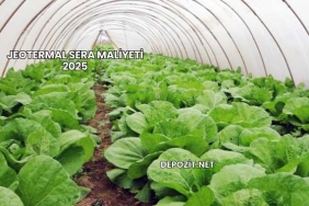 Jeotermal Sera Maliyeti 2025