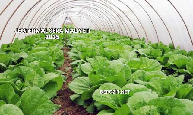 Jeotermal Sera Maliyeti 2025