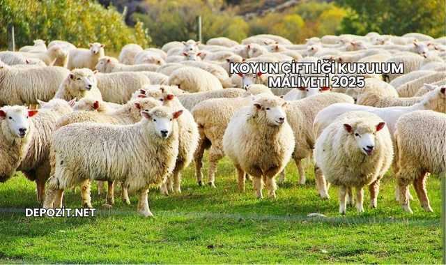 Koyun Çiftliği Kurulum Maliyeti 2025